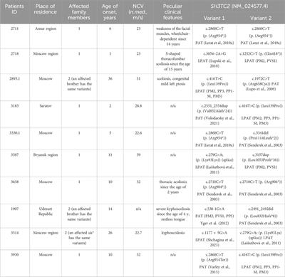 Genetic Landscape of SH3TC2 variants in Russian patients with Charcot–Marie–Tooth disease